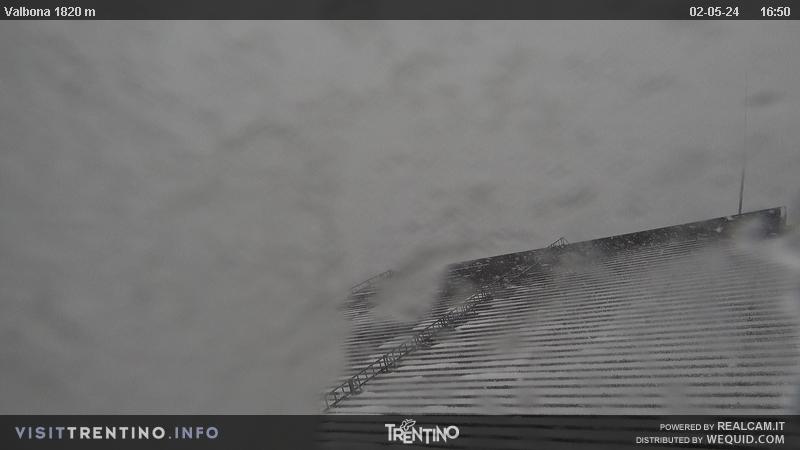 Webkamera Bellamonte – Alpe Lusia