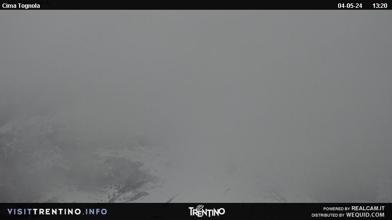 Webcam pista Cima Tognola dall'Alpe Tognola
